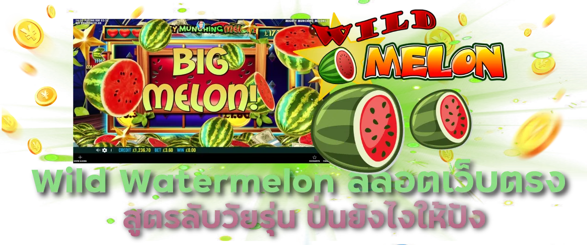 Wild Watermelon สล็อตเว็บตรง สูตรลับวัยรุ่น ปั่นยังไงให้ปัง